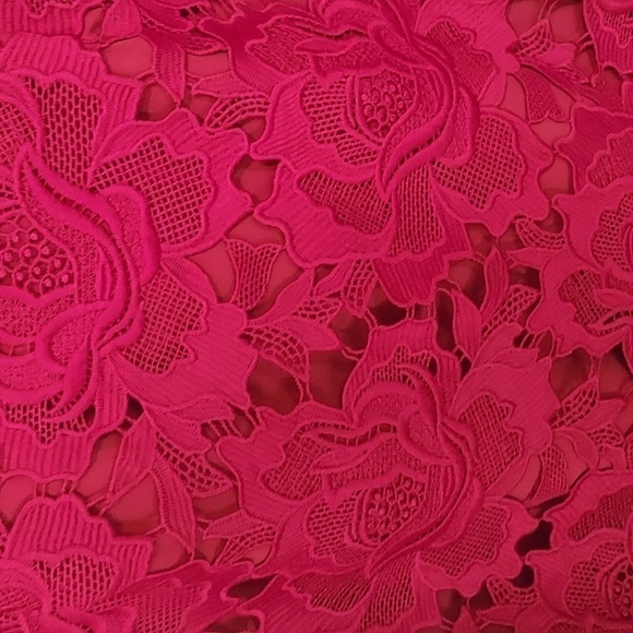 Saylor Crista Red Lace Dress - Picture 7 of 12